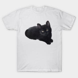 Black Kitten T-Shirt